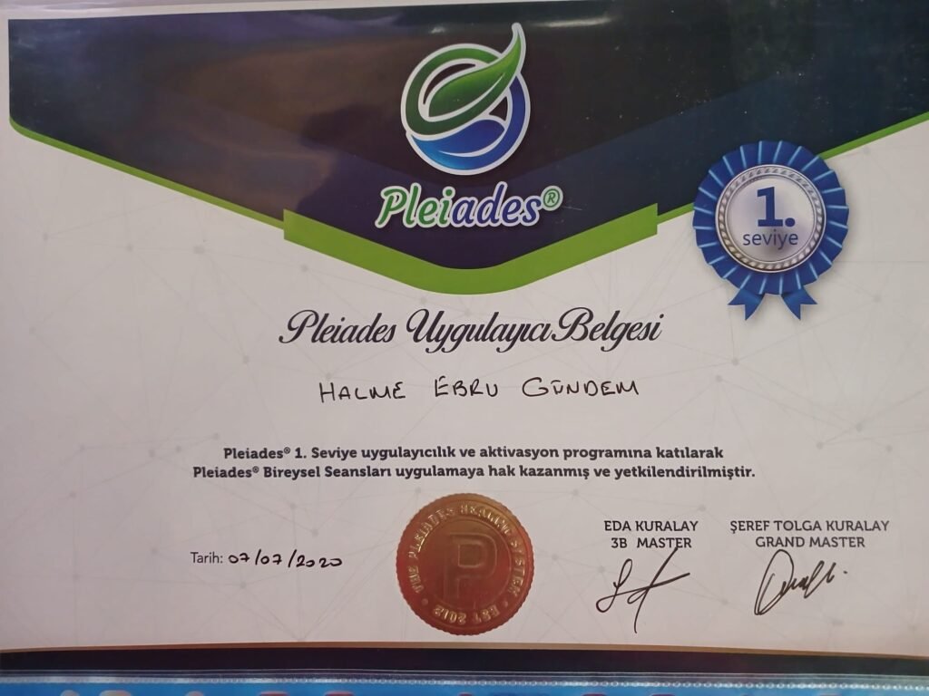 pleiades uygulayıcılığı.jpeg